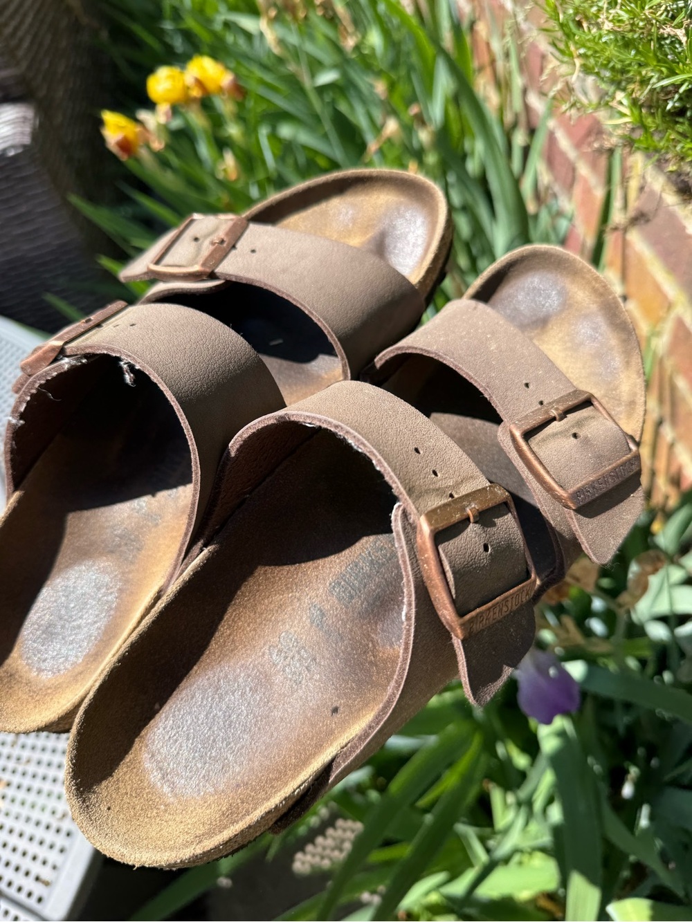 Birkenstock Arizona Sandals - Brown Taupe Two Strap